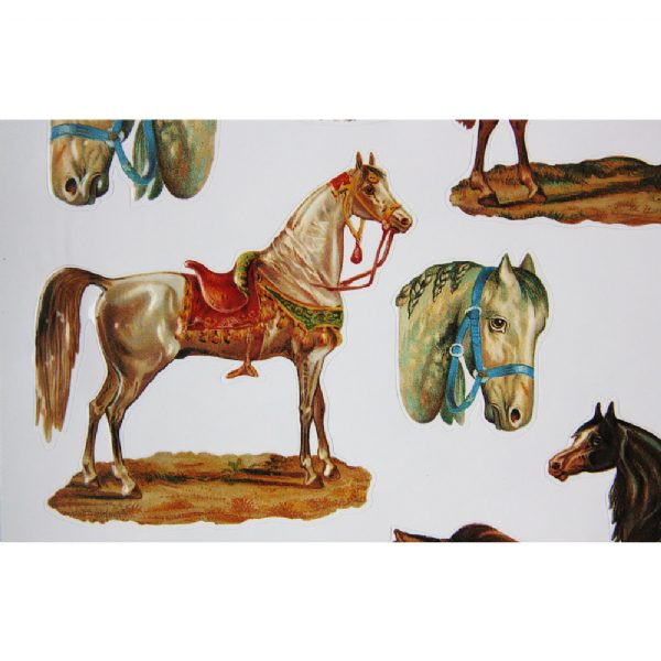 Crazy About Horses Stickers