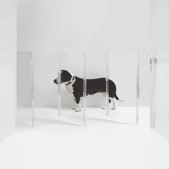 Wall Mounted Clear Pet Gate Zig Zag | Options