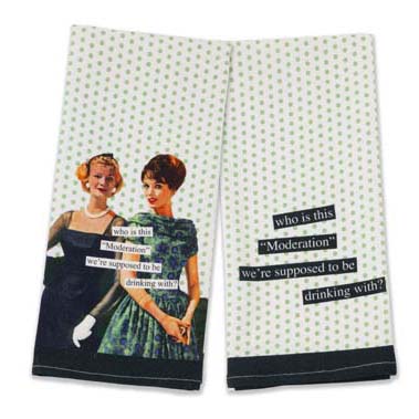 Moderation Who? Retro Dishtowels - Set of 2
