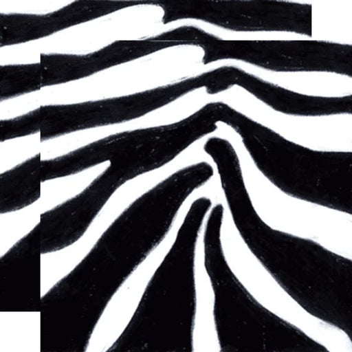 graphic Decoupage Black and White Zebra lunch Napkins