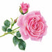 single pink rose napkin