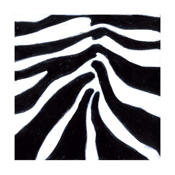 Black and White Zebra Cocktail Napkins – 2 Packets