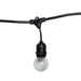 Black Cafe Lights Clear Bulbs is available