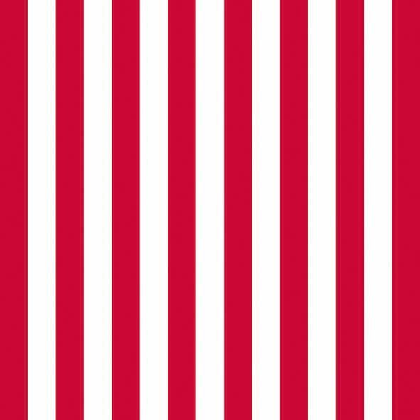 Red and White Narrow Stripe Luncheon Napkins – 2 Packets