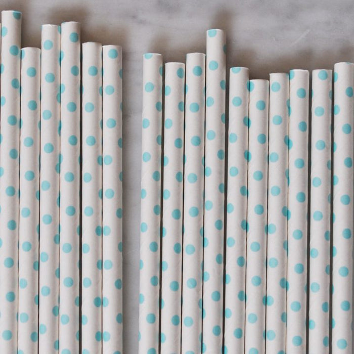 Light Blue Tiny Dot Paper Straws Set of 23