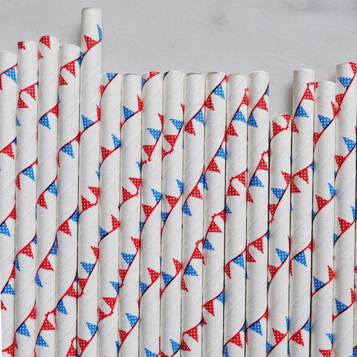 Red and White Polka Dot Flag Banner Set of 23