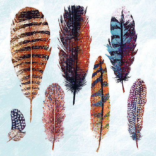 Decorative Feathers Luncheon Napkins – 2 Packets
