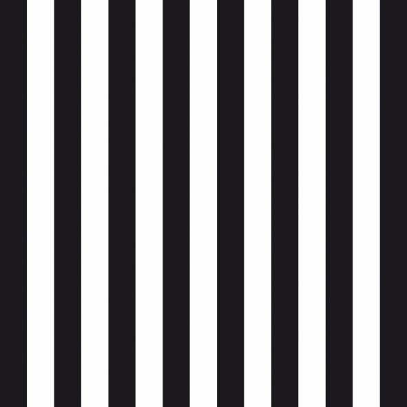 Narrow Black and White Stripes Luncheon Napkins – 2 Packets