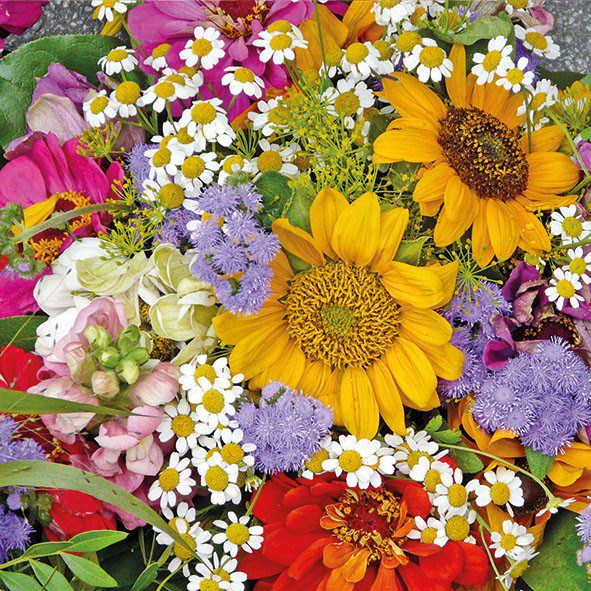 Flower Child Luncheon Napkins – 2 Packets