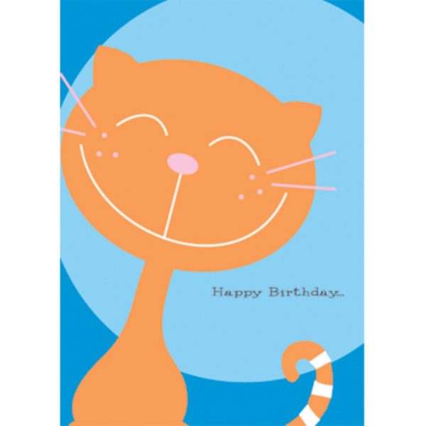 Birthday Party Greeting Card Collection Set of 12