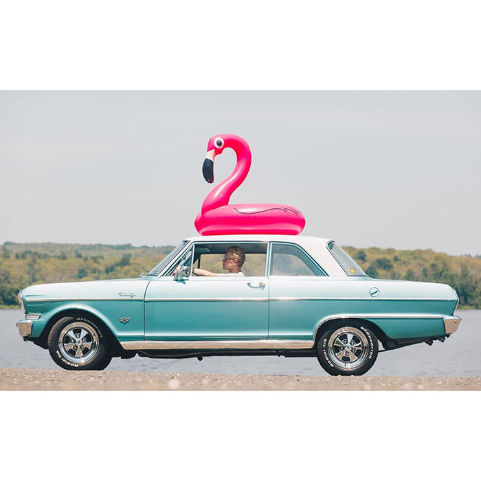 Vintage car with a pink flamingo float on top, driving on a road with a scenic background.