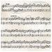 Classical music sheet printed on a paper napkin, featuring a vintage-style design with musical notes in the "Largo" and "Moderato" tempos, perfect for music lovers and event decoration.