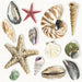 Napkins with an assortment of shells like clams, star fish, oysters, scallops, queen conch on a white background