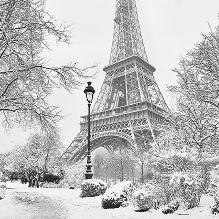 Winter in Paris Luncheon Napkins - 2 Packets