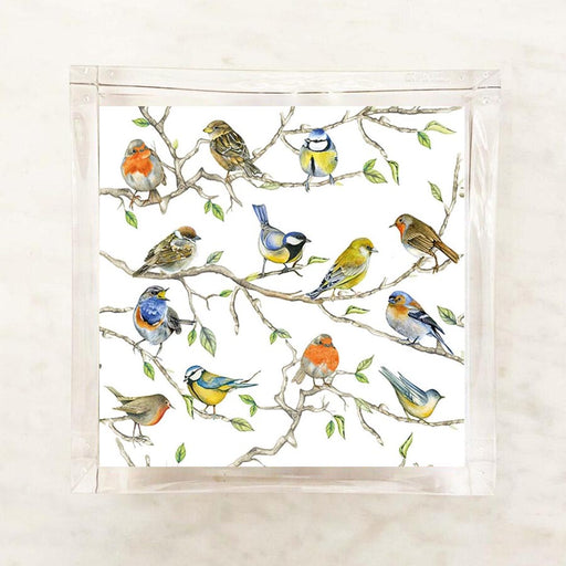 Birds Cocktail Napkins — watercolor illustrated cocktail napkins with colorful songbirds perched on branches