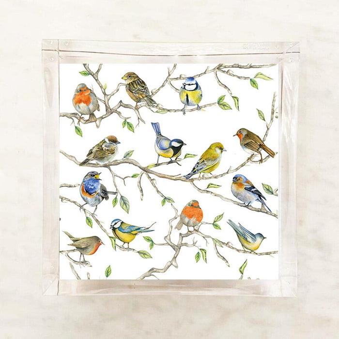 Birds Cocktail Napkins — watercolor illustrated cocktail napkins with colorful songbirds perched on branches