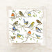 Birds Cocktail Napkins — watercolor illustrated cocktail napkins with colorful songbirds perched on branches