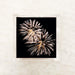 Golden fireworks cocktail napkins with black background and gold burst design for New Year’s Eve, champagne bars, birthdays, and celebrations.