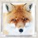 Louis Fox Luncheon Napkins — paper napkins with bold photographic fox face print
