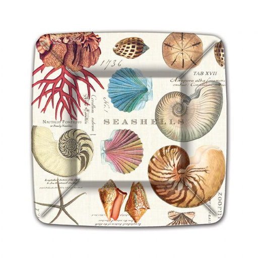 Square seashell dessert paper plates with vintage shell illustrations, 7.5 inch, set of 8