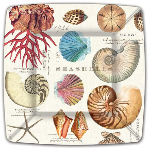 Square seashell dinner paper plates with vintage shell illustrations, 10.5 inch, set of 8
