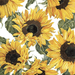 Sunflowers Blossoming Design Luncheon Paper Napkins — close-up of bold watercolor sunflower print