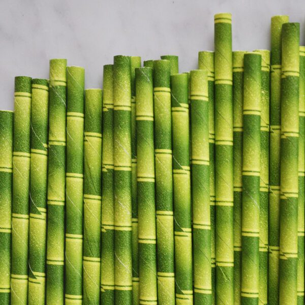 Bamboo Paper Straws Set of 144