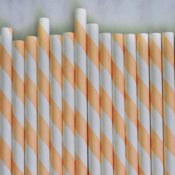 Creamsicle Orange and White Striped Paper Straws Set of 23