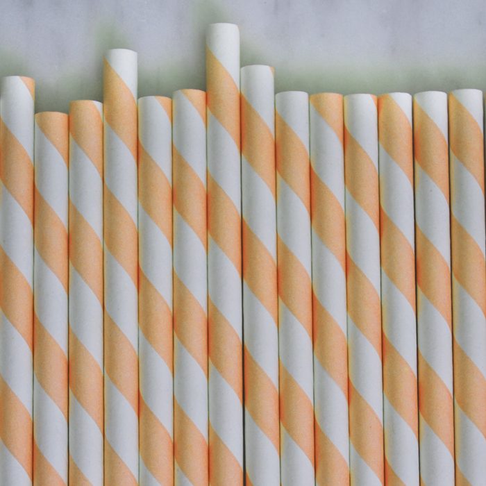 Creamsicle Orange and White Striped Paper Straws Set of 23