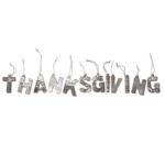 Happy Thanksgiving Metal Mirror Ornaments - Image 3
