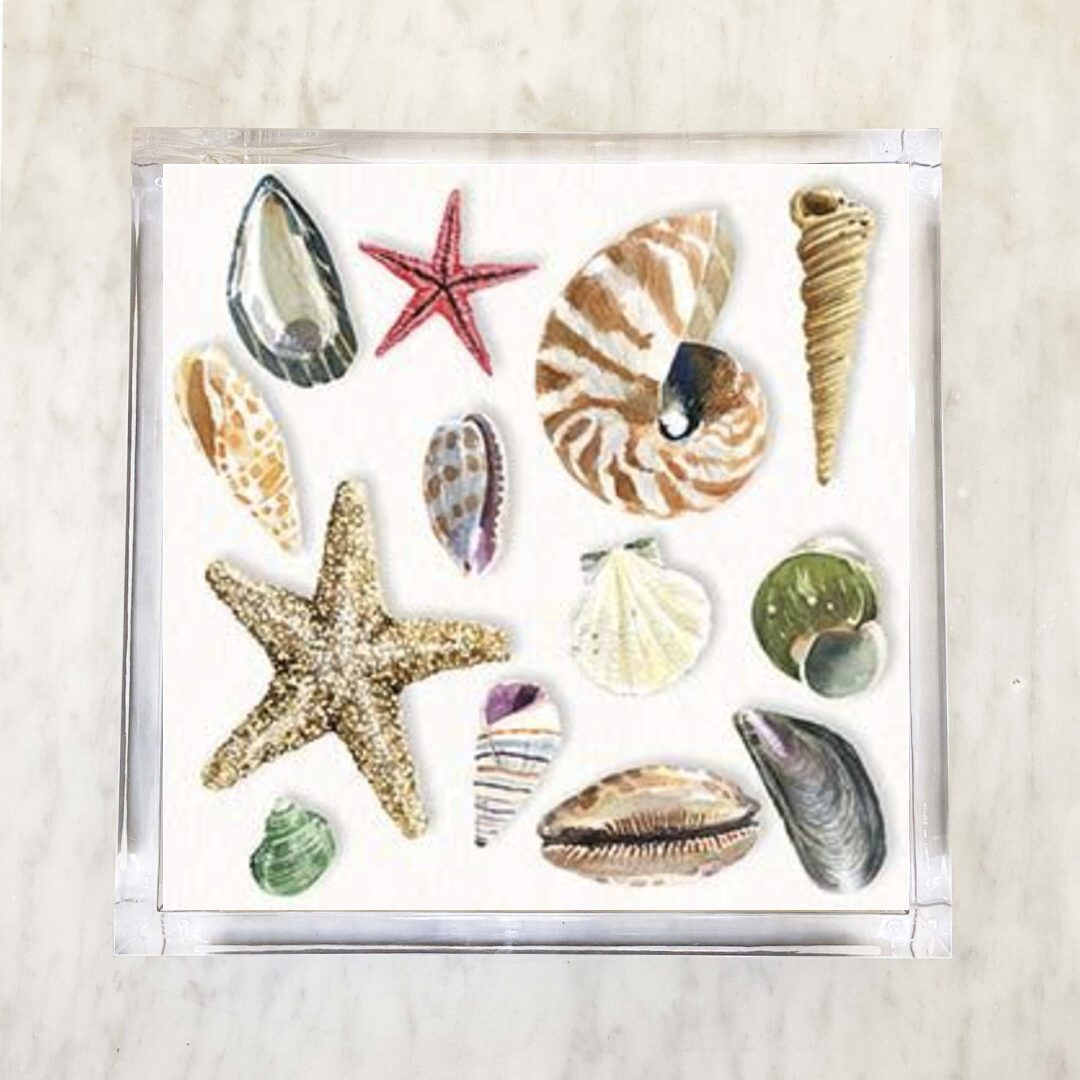Napkins with an assortment of shells on a white background