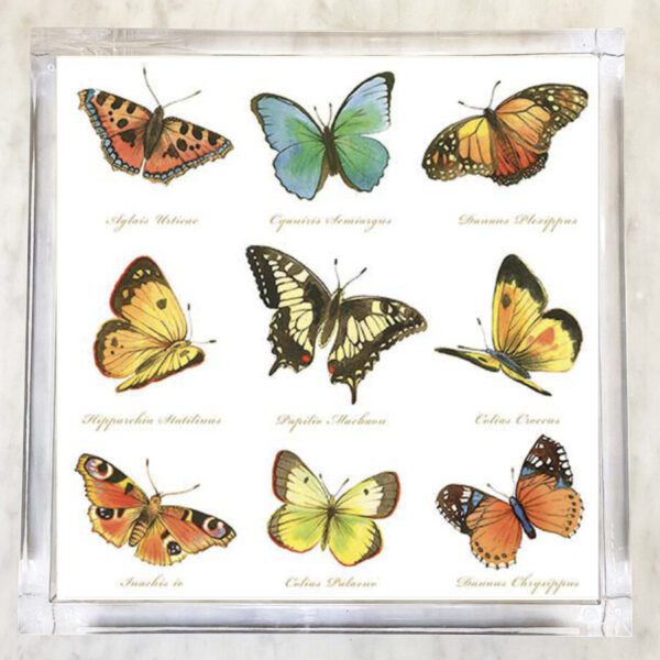 Paper napkin with a collection of nine illustrated butterflies, featuring various species and colors, labeled with their scientific names