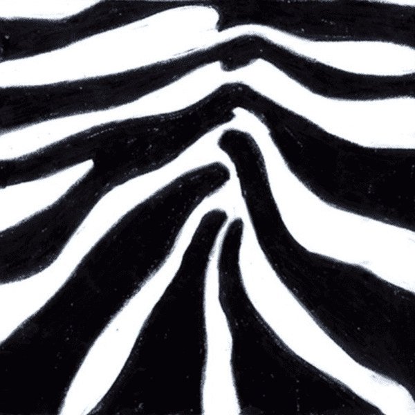 graphic Decoupage Black and White Zebra lunch Napkins